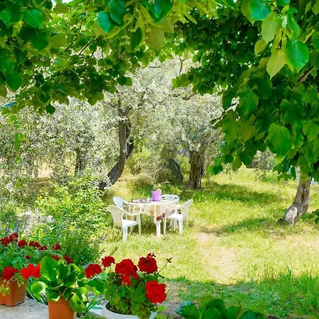 Daire Elia Thassos