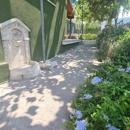 Olivendra Thassos Lägenhet Prínos