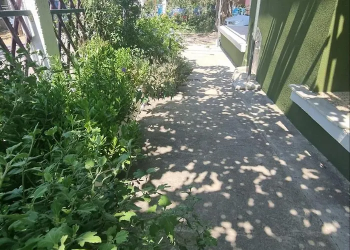 公寓 Elia Thassos *